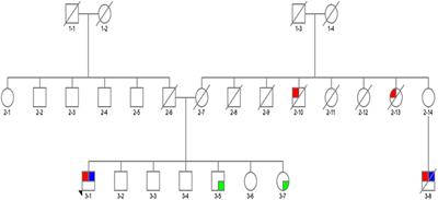 Association Between Glucocerebrosidase Mutations and Parkinson's Disease in Ireland